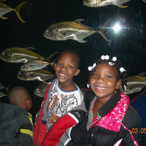 Meet your Posher, Honesty